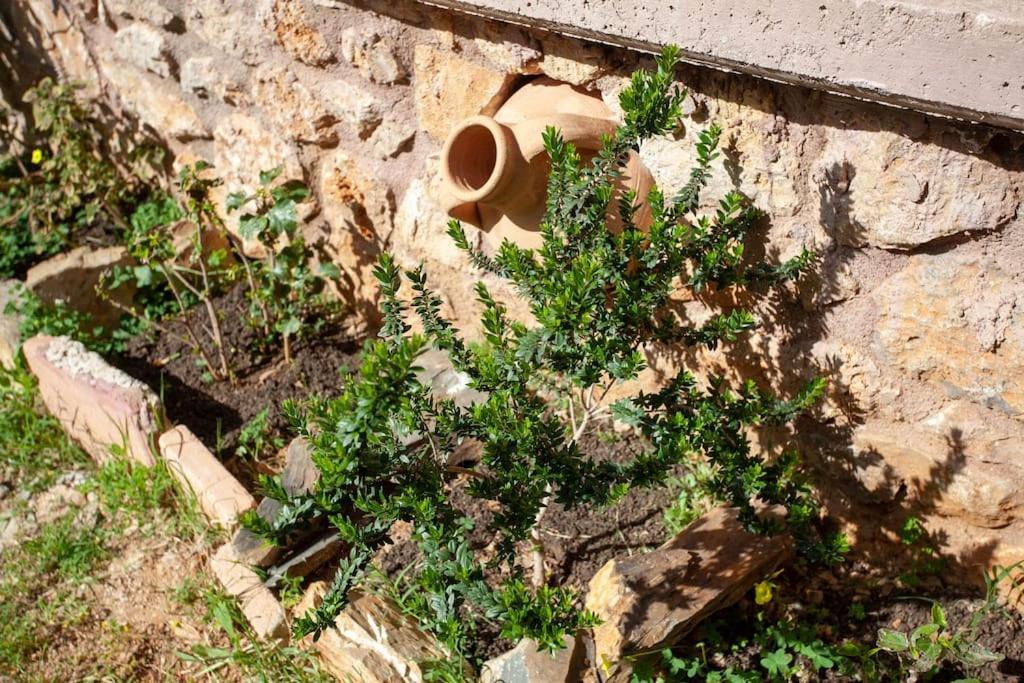 Chania Paradise Retreat Rodhopos Bagian luar foto
